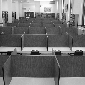 cubicles
