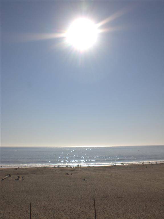 santa cruz