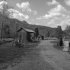 Disconnected In Seneca Rocks, West Virginia