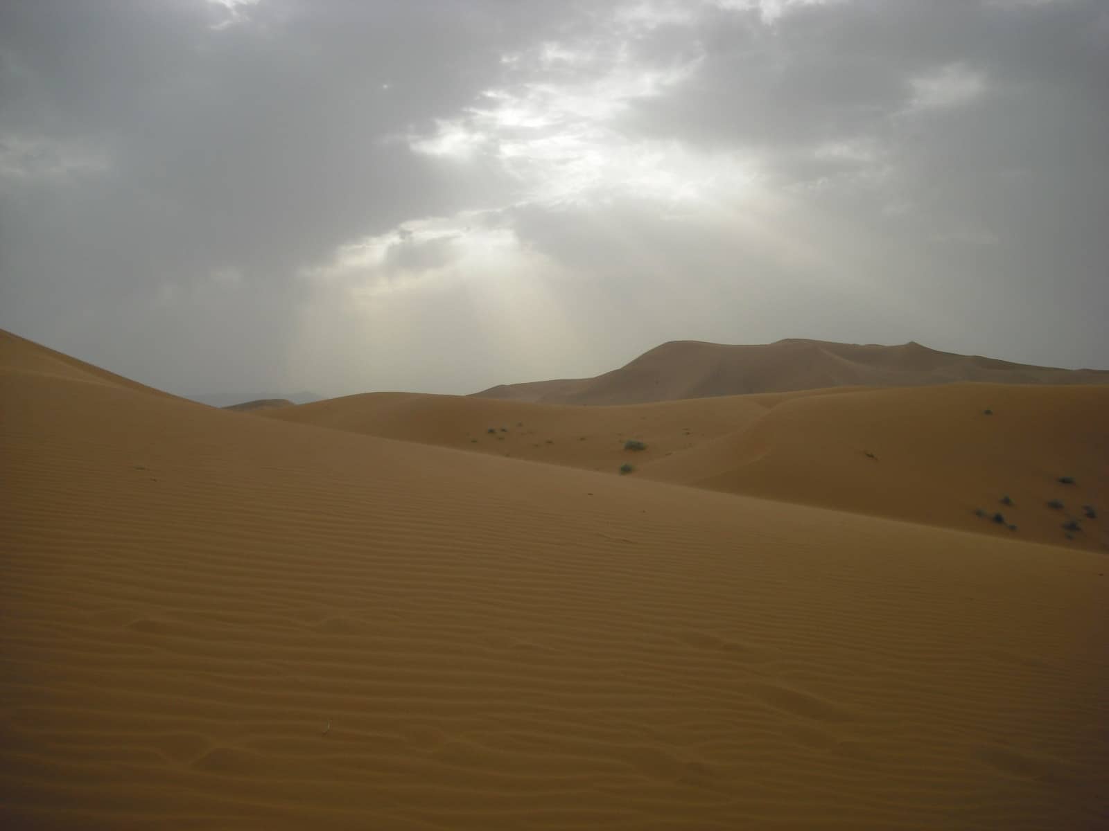 the sands of merzouga, morocco