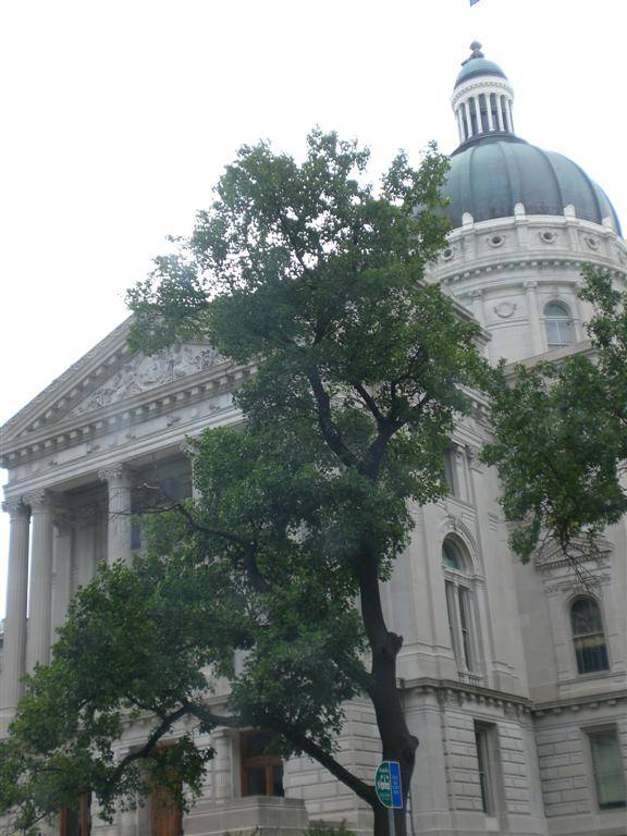 Indianapolis city hall 