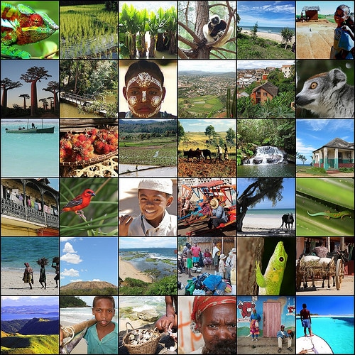 madagascar mozaik