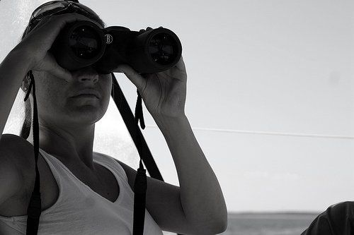 on the lookout